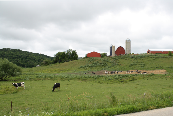 wisconsin_dairystate_web